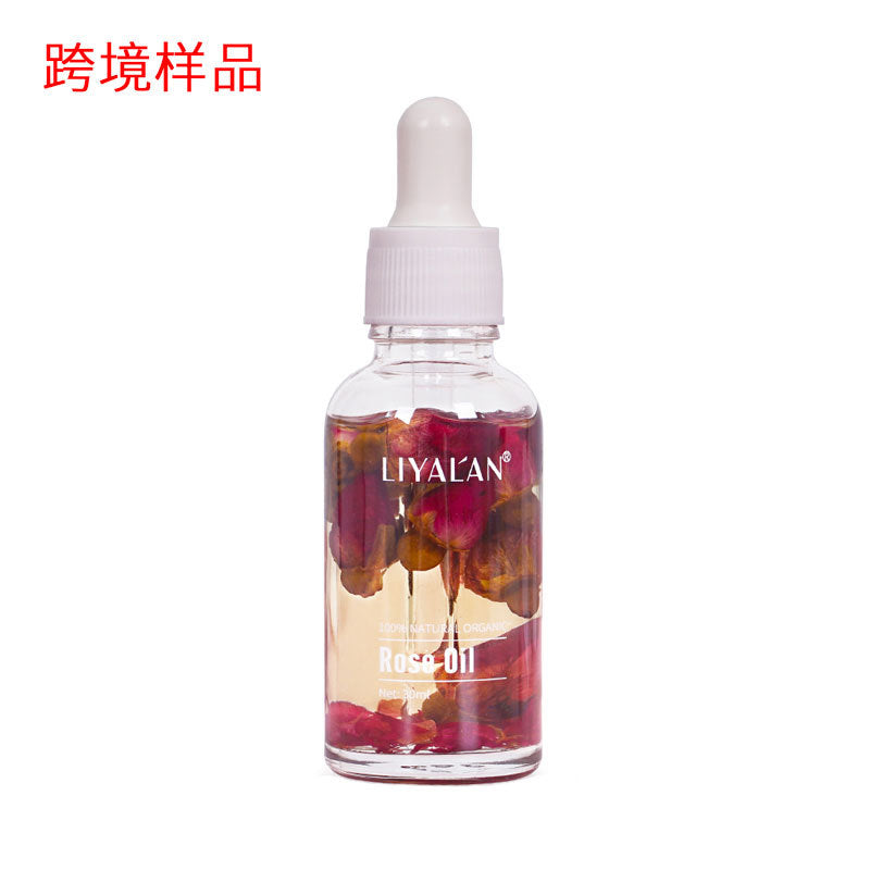 Huile de Rose Multi-Usage – 30 ml
