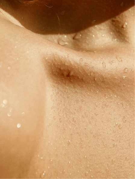 Gloss Shampoo, Smoky Green Vetiver - Afrotix