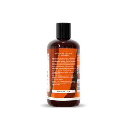 Shampoing Nourrissant : NETTOIE EN DOUCEUR ET DISCIPLINE - 250ml - Afrotix #